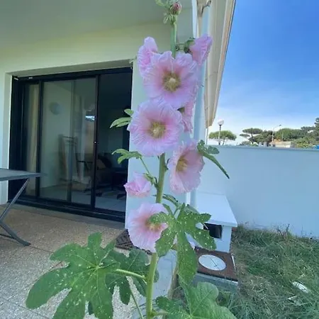 Studio Plage Du Chay Lejlighed